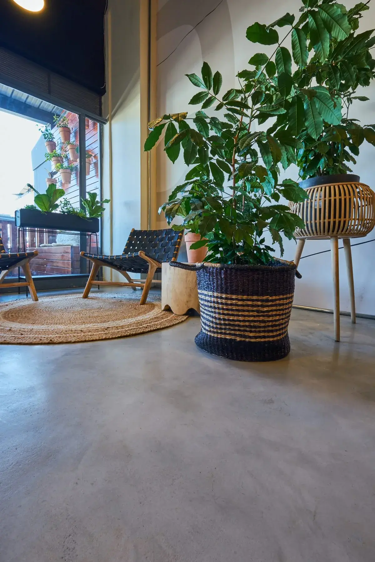 Cemcrete RenoCrete floor, retail interior, Botswana